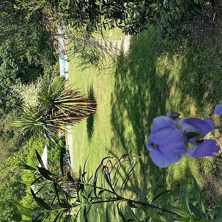 Monti San Baronto